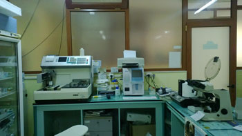 lab